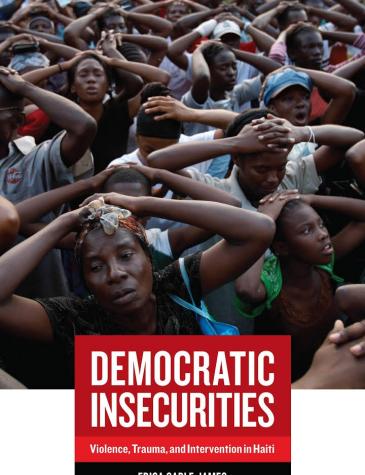 Democratic Insecurities, 2010